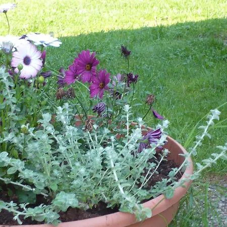 Campingplads Camping Tornio 3*