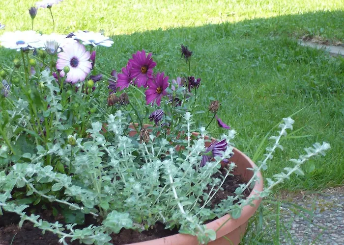 キャンプ場 Camping Tornio 3*