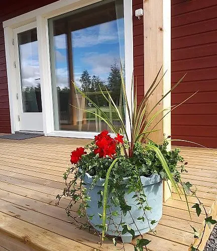 Camping Tornio キャンプ場 トルニオ